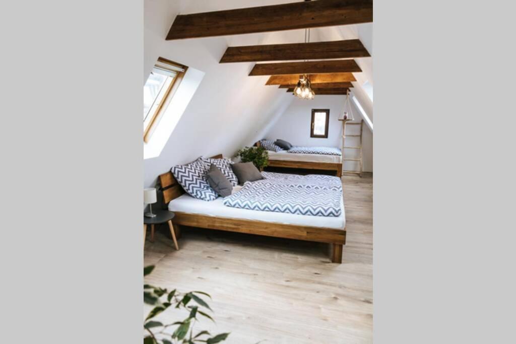 The Cozy Studio Apartment Lauf Lauf an der Pegnitz Zewnętrze zdjęcie