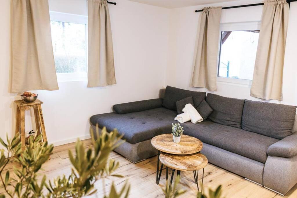 The Cozy Studio Apartment Lauf Lauf an der Pegnitz Zewnętrze zdjęcie